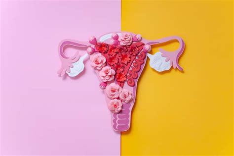 Endometriosis The Symptoms Treatment And How It Affects Your Fertility