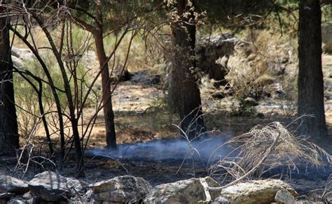 Segovia La Junta Rebaja A Nivel 1 La Peligrosidad Del Incendio De