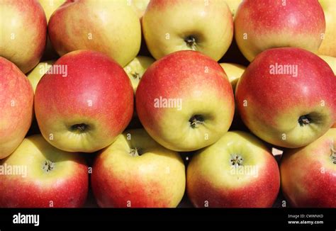 Idared Apples Hi Res Stock Photography And Images Alamy