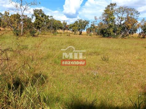 Mil Fazendas Fazenda Em Natividade To Alqueires Dupla Aptid O