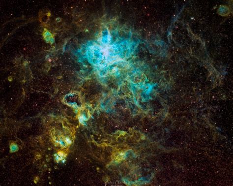 Tarantula nebula