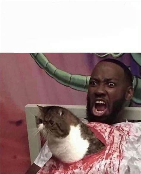 Alien Cat Blank Template Imgflip