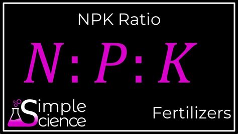 Npk Ratio Youtube