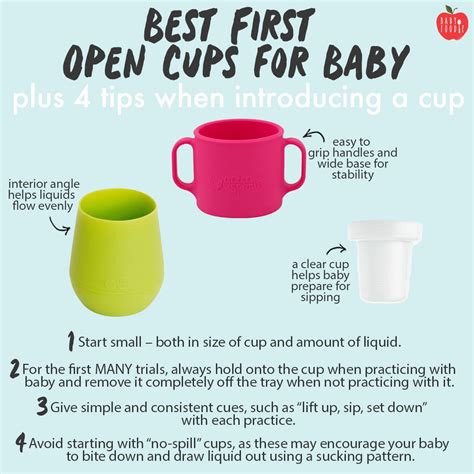 Best First Cups for Baby (plus 4 tips when introducing a cup) - Baby Foode