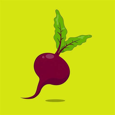 Premium Vector Fresh Beetroot Vegetable Icon Vector Illustration