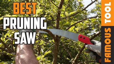 Pruning Saw Best Pruning Saws Buying Guide Youtube