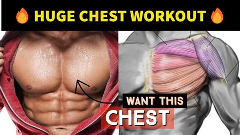 Huge Chest Workout🔥top 5 Chest Workout Youtube