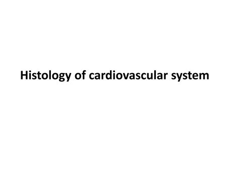 SOLUTION Histology Of Cardiovascular System Studypool