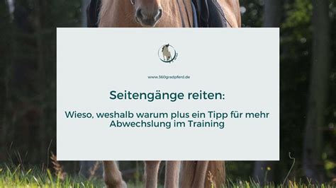 Seiteng Nge Reiten Trainingstipp F R Mehr Abwechslung Pferd