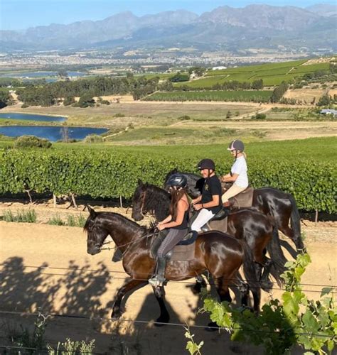 The Cape Winelands District 1000 Things To Do And Then Some Wine