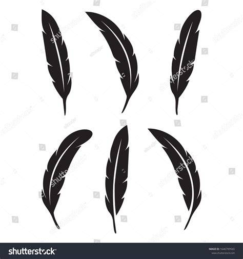 Image Icon Black Feather Vector Stock Vector Royalty Free 1646799565