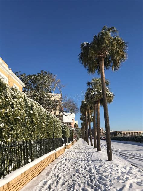 Murray Boulevard, Charleston, SC Editorial Image - Image of battery ...