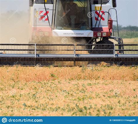 Harvesting Peas with a Combine Harvester. Harvesting Peas from the ...