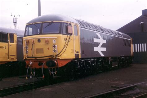 Class 56 Diesel Photo Gallery 56037