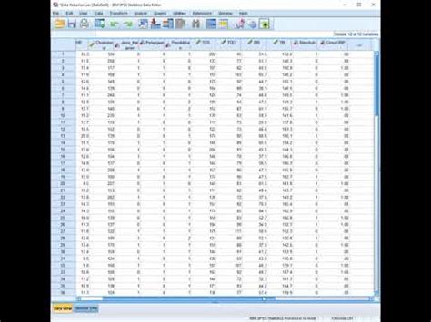 Tutorial Transformasi Data Dengan Spss Recode Into Different Variable