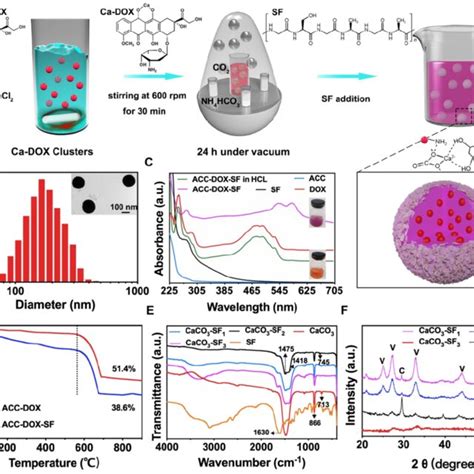 Characterization Of Acc Dox Sf Nps A The Fabrication Process Of