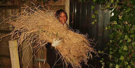 winter heritage wheat brixton windmill education centre