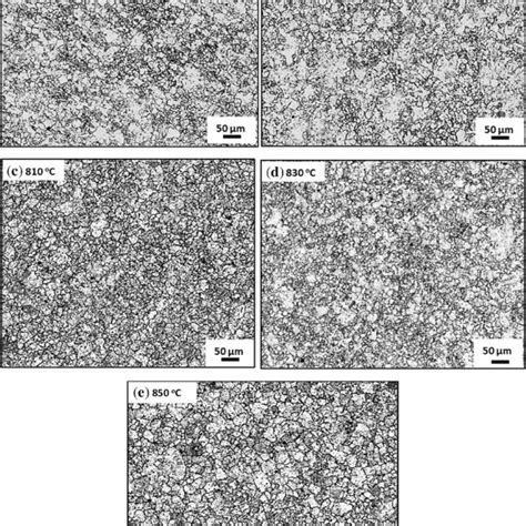 A E Prior Austenitic Grain Size At The Various Warm Forging