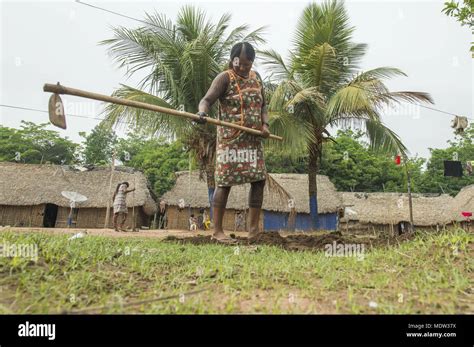 La India Kayapo Aldea De Moikarako Tomando La Hierba Con La Azada