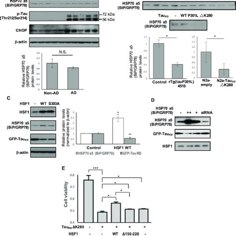 Chronic Upr Activation And Aberrantly Hyperphosphorylated Tau