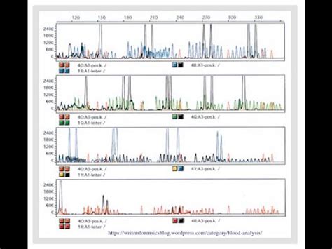 Short Tandem Repeats STR DNA Profiling YouTube