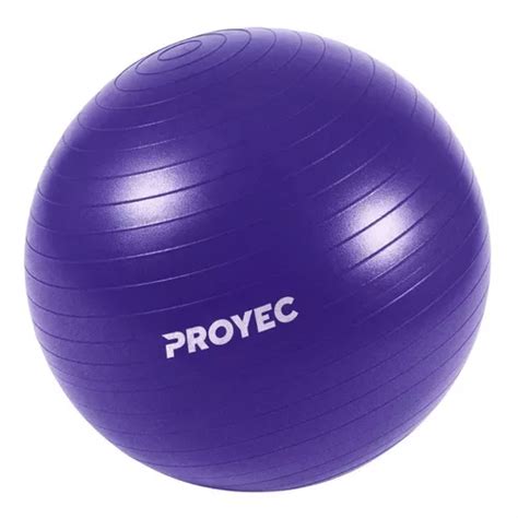 Pelota Yoga Esferodinamia Suiza 75 Cm Gym Ball Importada Fitball