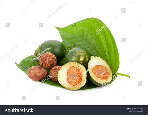 8,307 Betel Nuts With Betel Leaves Images, Stock Photos & Vectors ...