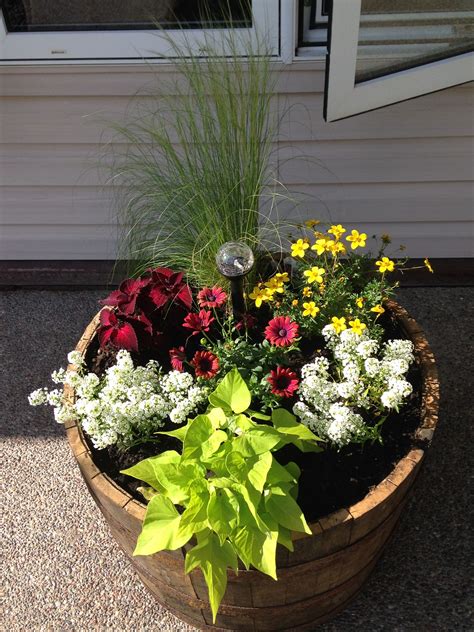 Whiskey Barrel Planter G4rden Plant