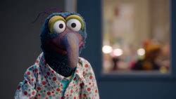 Gonzo's stunts | Muppet Wiki | FANDOM powered by Wikia