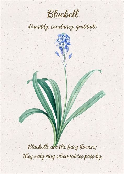 Bluebell Flower Language Poster Picture Metal Print Paint By