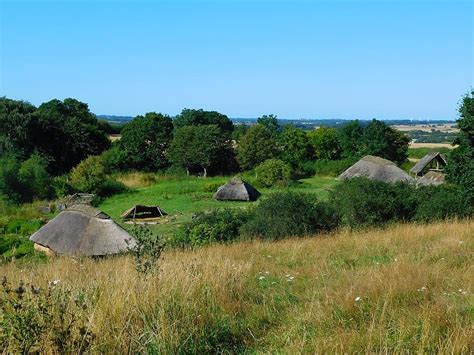 Village Viking Museum Vikings Denmark Viking Life Viking Village