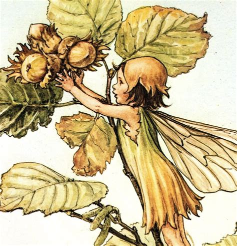 1981 Flower Fairies Of The Seasons Original Vintage Print Cicely Mary