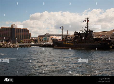 Sea Shepherd ship Bob Barker, berthed in Hobart, Tasmania Stock Photo - Alamy