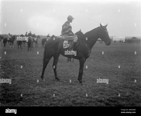 Racehorse Raymond Standing With Jockey Other Horses And Riders In