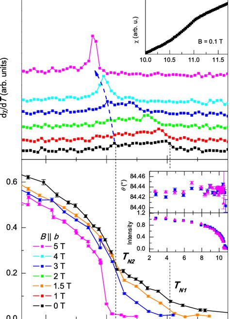 A Derivative Of The Temperature Dependence Of The Magnetic