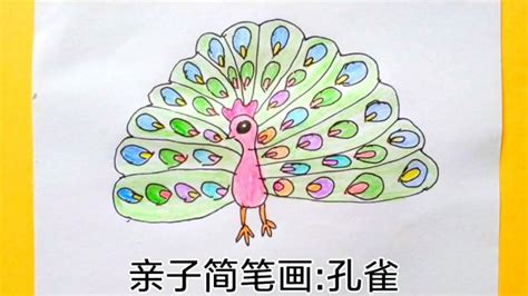 画孔雀的简笔画 百度经验