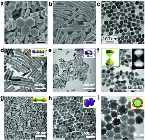 Scanning Electron Microscopy SEM Images Of A NaYF 4 Yb Tm