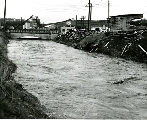 Paradise Creek Near Flood Stage Historic Images Of Moscow Idaho