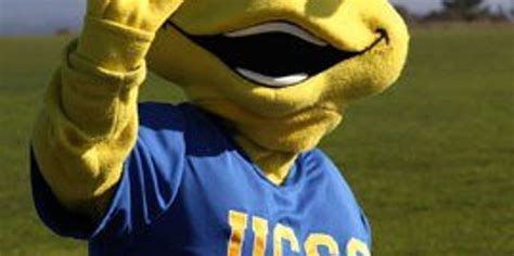 Unveiling The Ucsc Mascot A Banana Slug Why This Slimy Underdog Rules The Campus