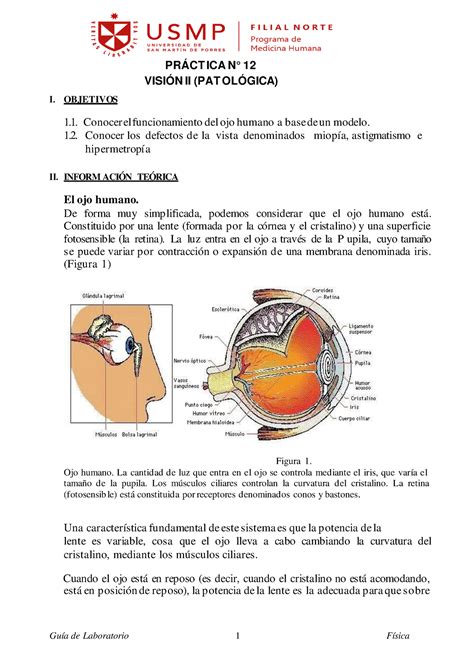 GUIA DE Práctica Visión Patologica I OBJETIVOS PRÁCT ICA N 12