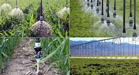 Sprinkler Irrigation System Types Advantages And Disadvantages