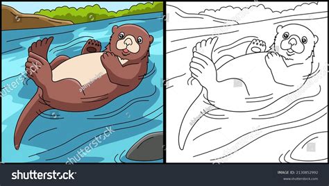 181 Sea Otter Colouring Page Images, Stock Photos & Vectors | Shutterstock