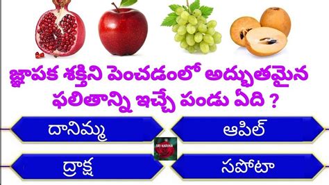 Interesting Questions In Telugu Unknown Facts General Knowledge Telugu