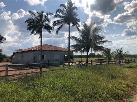 Fazenda em Mineiros go 500 Hectares em Mineiros GO à venda 649661