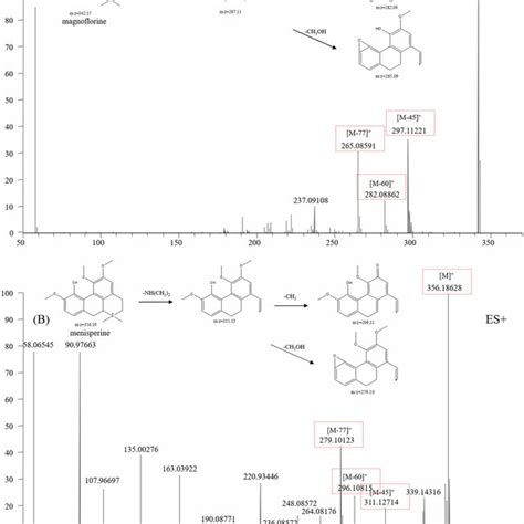 Typical Mass Spectrum And Proposed Fragmentation Pathways Of Indole