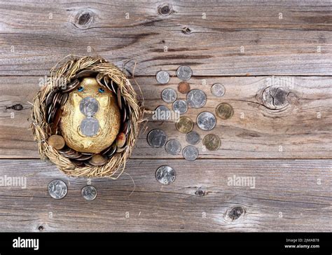 Nest Egg Filled With Piggy Bank And Coin Money For The Future Stock