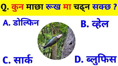 Gk Questions And Answers कुन माछा रूख मा चढ्न सक्छ Gk Question