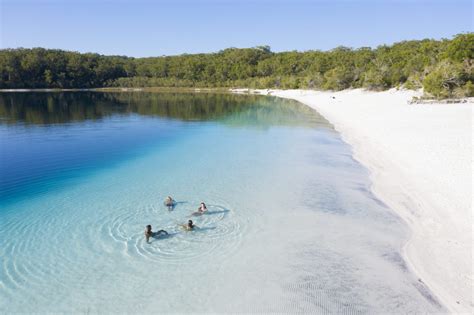 Living And Working On K Gari Fraser Island Drop Bear S K Gari