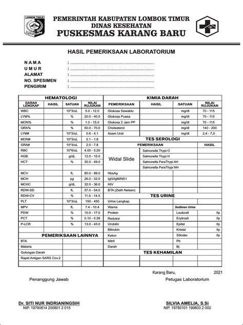 Blangko Permintaan Pemeriksaan Laboratorium Pdf