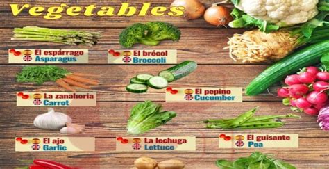 Vegetables Los Vegetales Spanish Words